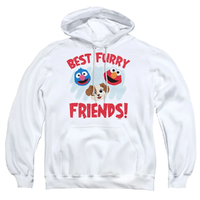 lightweight hoodieSesame Street Best Furry Friends - Pullover Hoodie