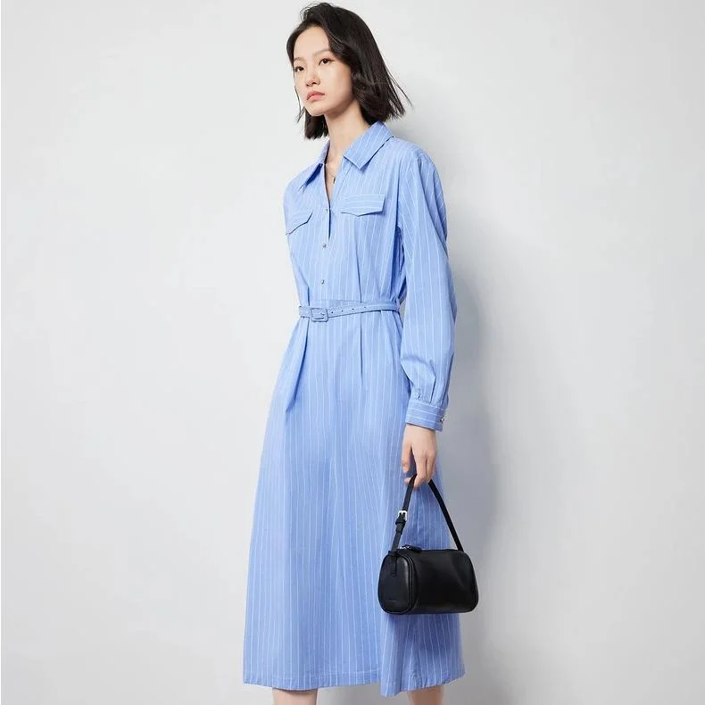 printed dressWomen's Autumn Blue and White Striped A-Line Shirt Dress