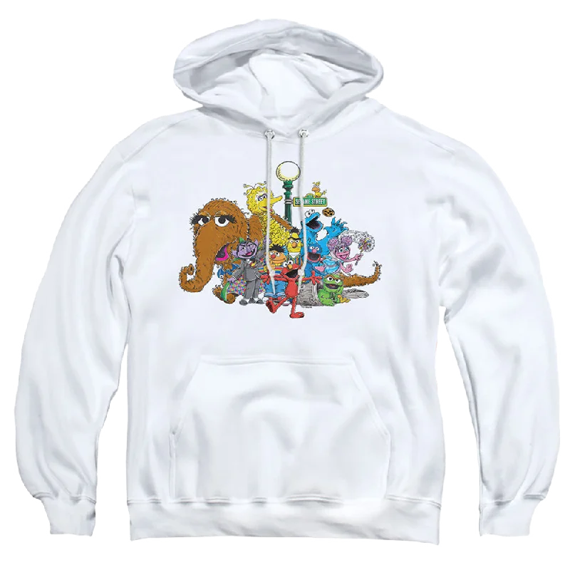 stylish pullover hoodieSesame Street Group Street Light - Pullover Hoodie